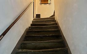 Navona Fox House